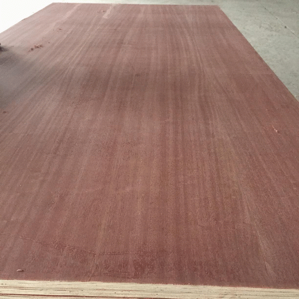 SAPELE